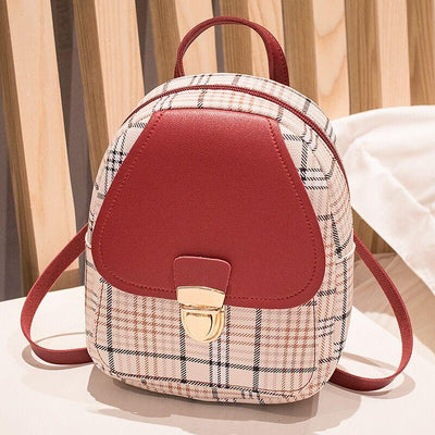 Check Lock Bag